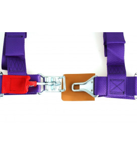 Racing seat belts 4p 2" Purple - DTM