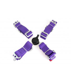 Racing seat belts 4p 2" Purple - Quick