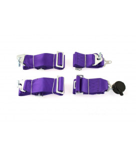 Racing seat belts 4p 3" Purple - Quick