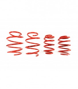 BMW 3 Series / E46 Coupe 1998- 40/40 mm MTS Lowering Springs MTSXBM131