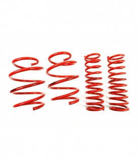 BMW 5 Series / E39 Sedan 1995-2003 40/30 mm MTS Lowering Springs MTSXBM140