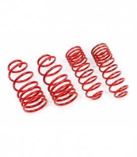 BMW 5 Series / F10 Sedan 2010-2017 40/35 mm MTS Lowering Springs MTSXBM093