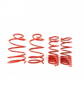 Fiat Cinquecento 1991-1998 20/20 mm MTS Lowering Springs MTSXFI055