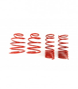 Fiat Seicento 1998- 70/50 mm MTS Lowering Springs MTSXFI056