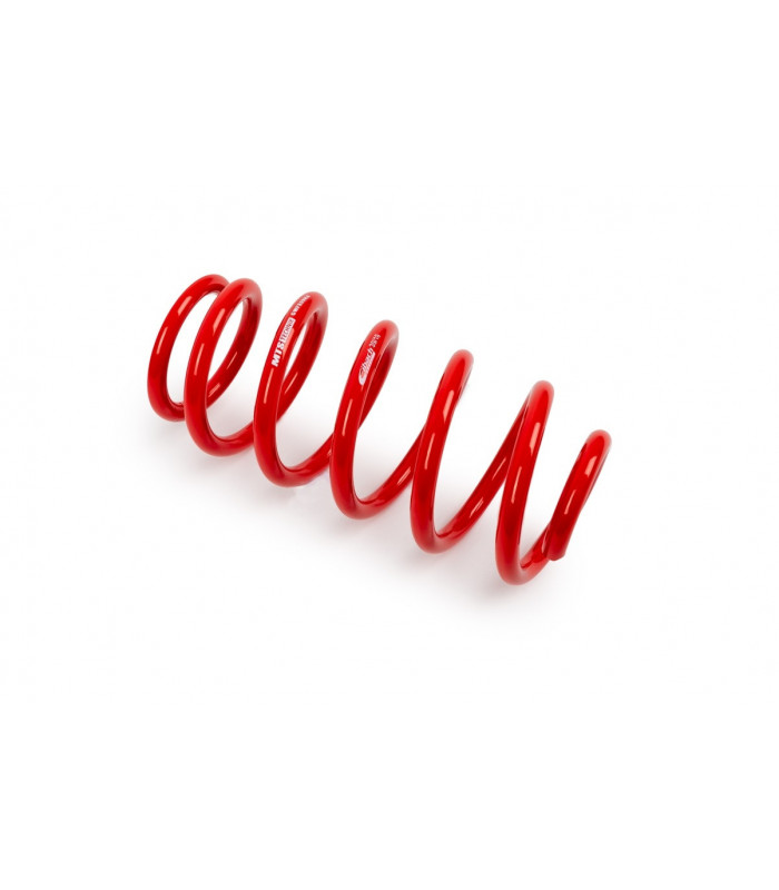 Audi A6 C5 Sedan 1997-2003 60 mm MTS Galinė žeminanti spyruoklė MTSXAU146HA