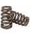 Beehive valve spring Peugeot EP6 207GT308GTi408 - Citroen C4 DS3 w THP150 175 engine