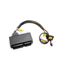 Ecumaster Adapter 1,8T BAM - do EMU BLACK