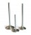 Exhaust valve HONDA CIVIC SI 1.6L - DOHC VTEC 16 VALVE (B16A3) - 1999-2000