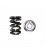 DUAL SPRING/TITANIUM RETAINER KIT (Honda/Acura B18C/B16A/B17A - RACE & LIMITED STREET)