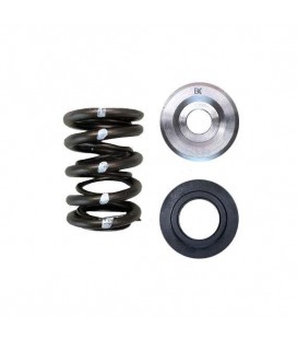 DUAL SPRING/TITANIUM RETAINER/SEAT KIT (Subaru EJ Series)