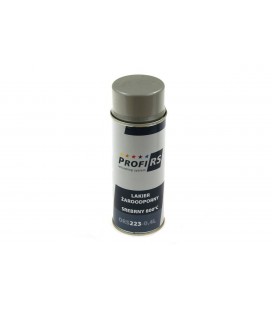 Heat Resistant Lacquer Silver