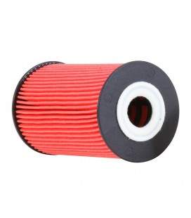 K&N Oil Filter PS-7029