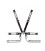 Racing Seat Belts 6-points OMP Formula Dyneema® FIA