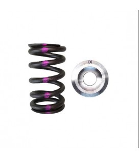 SINGLE SPRING/TITANIUM RETAINER KIT (Nissan QR25DE)