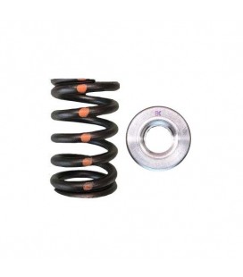 SINGLE SPRING/TITANIUM RETAINER KIT (Nissan VH45DE)