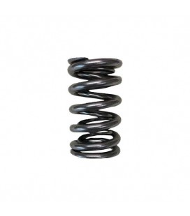 VALVE SPRINGS - DUAL (SuperTech Mitsubishi 4G63 Eclipse/Evo)