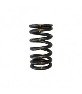 VALVE SPRINGS - SINGLE (Toyota 7MGTE/7MGE)