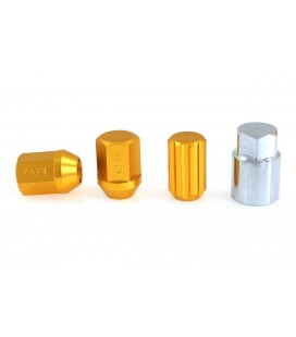 Wheel Nuts EPMAN RS M12x1.25 Gold Locking