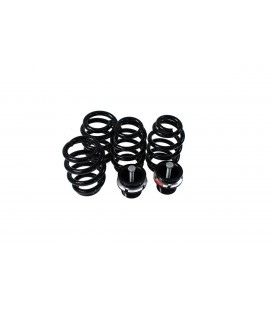 Coiloveriai D2 Racing Street AUDI A4 B6 (4WD) 02-04