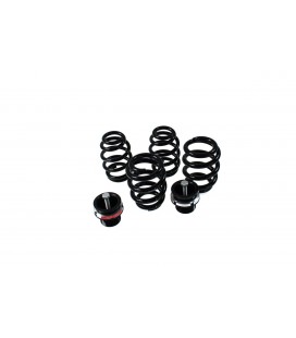 Coiloveriai D2 Racing Street AUDI A4 B7 (4WD) 04-08