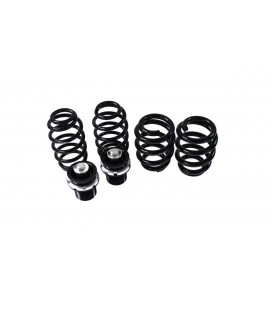 Coiloveriai D2 Racing Street AUDI A5 COUPE (4WD) 07+