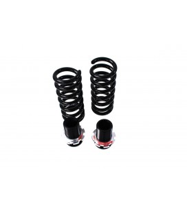 Coiloveriai D2 Racing Street BMW F21 4/6 cil (excl.M-Technik.xDrive & EDC) 11+