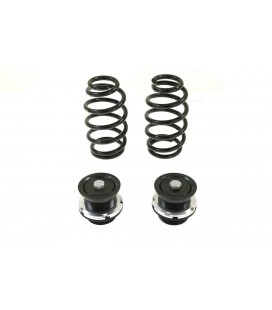 Suspension Street D2 Racing VW GOLF V 4-motion fi55