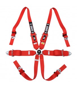 QMS 6-point FIA seat belts