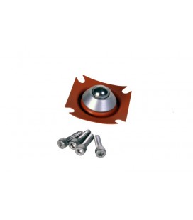 Aeromotive Diaphragm Repair Kit - A2000 Fuel Pump