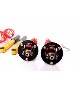 BMW 3 Series / E30 Cabriolet 1982-1993 MTS Coilovers MTSGWBM11-C