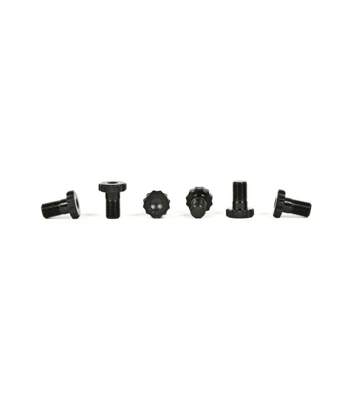 ARP Flywheel Bolt Kit