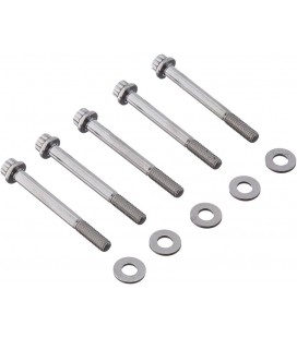 M6 x 1.00 x 55 12pt SS bolts