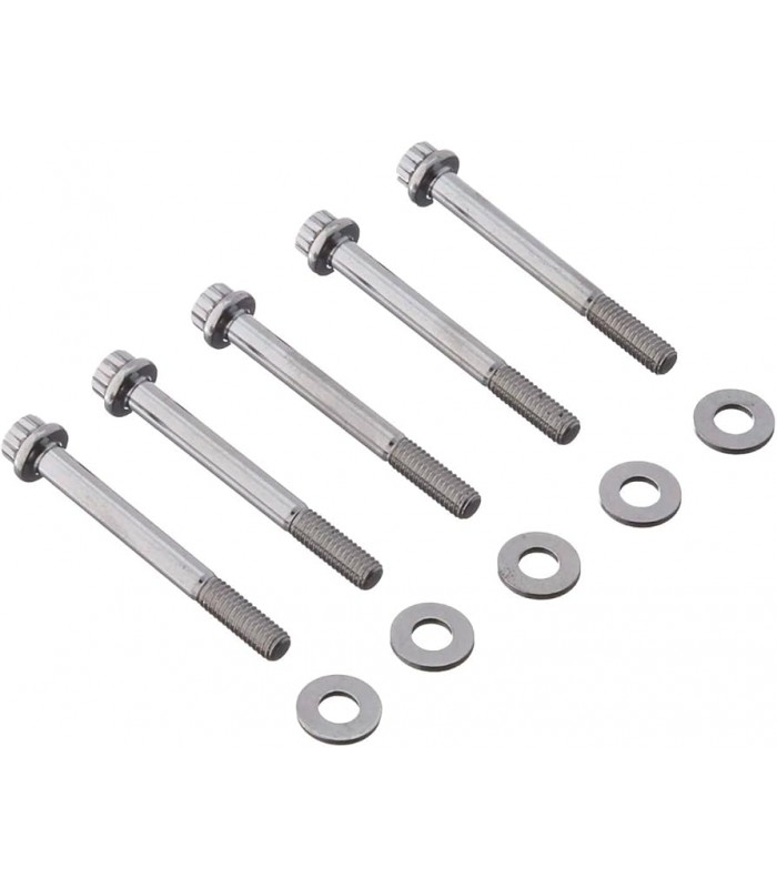 M6 x 1.00 x 55 12pt SS bolts