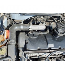 EGR šalinimo komplektas VW Audi Seat Skoda varikliams 1.9 TDI AJM AHU AVB AFN ALH