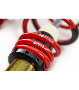 Reguliuojamos pakabos komplektas MTS Technik Street  Ford FIESTA V (JH/JD) 11/01 - 12/14