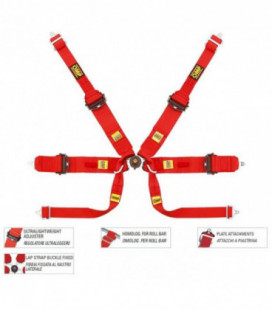 Racing Seat Belts OMP 807 Formula HANS SL FIA