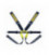 Racing Seat Belts Sabelt Formula Gold 6-points (CCG633FND) FIA