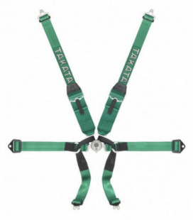 Racing Seat Belts Takata Formula 6 HANS FIA