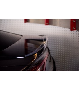 Spoiler Cap - Renault Talisman