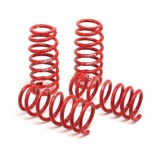 Lowering springs